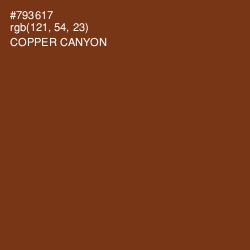 #793617 - Copper Canyon Color Image